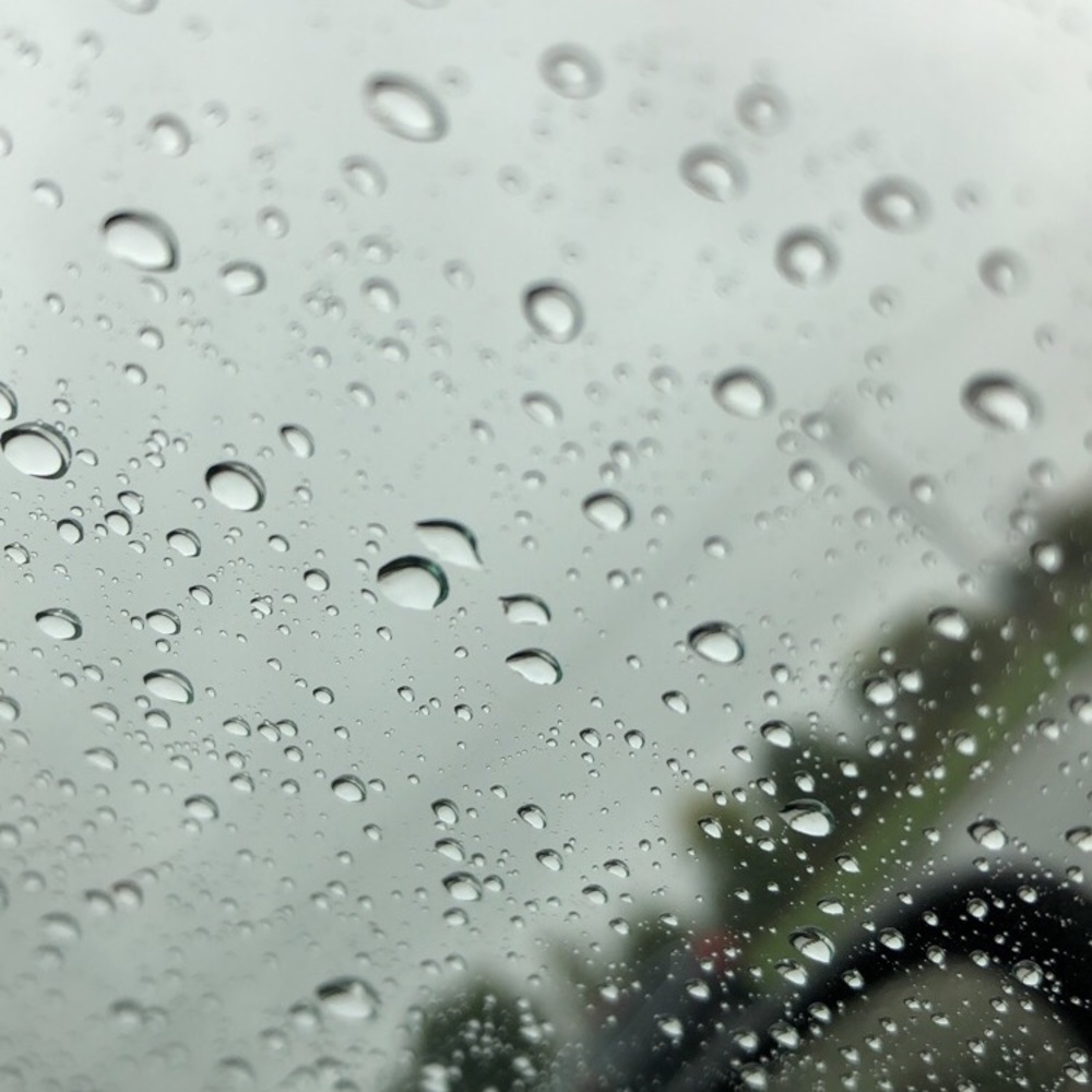 Meet your Posher, Marisa